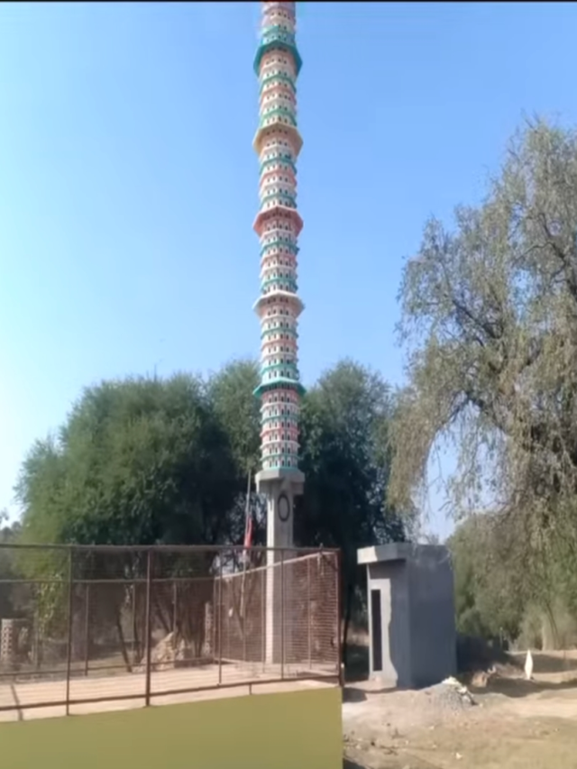 pakshiyon-ke-liy-banaya-7-manjila-anokha-ghar